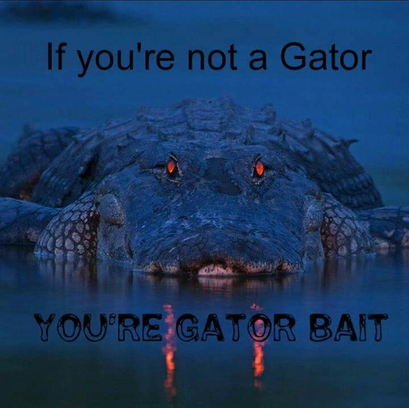 robgator53